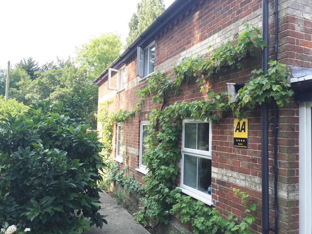 South Norfolk Guest House Great Moulton Exterior photo